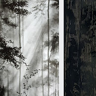 DUNGLAS Vincent et AVEROUS Hélène-L'arbre et la source 140x93 -Encre de Chine et acrylique