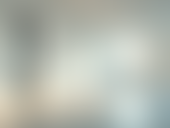 Professional Commercial Painting Services