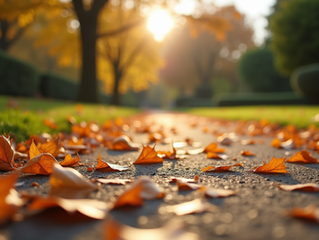 Essential Autumn Garden Jobs to Prepare Your Outdoor Space for Winter