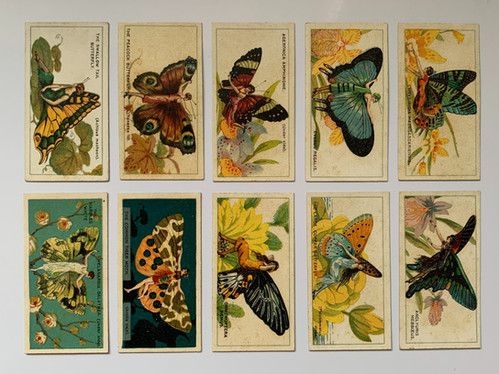 butterfly cigarette cards A set of 50 British American Tobacco (B.A.T.) 'Butterflies (Girls)' circa Rare Vintage woven silk cigarette