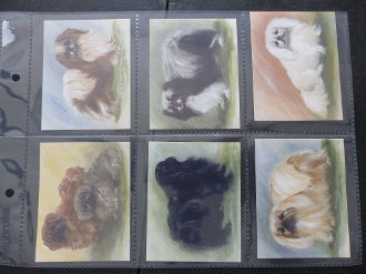 Imperial Publishing Imperial Dog Collection Pekingese Trade Cards