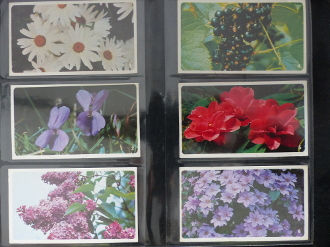 Players Grandee World Of Gardening Cigar Cards