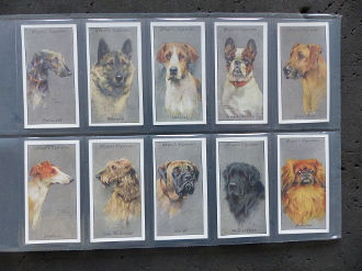 Thumbnail: Players Dogs Heads Silver Background Eire Cigarette Cards