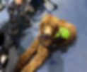 B3B591E2-0470-4DB2-878D-7F0F8A4F1A01_edited.png