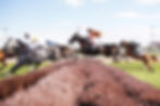 MN Jockey 2.jpg