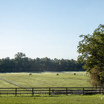 KARWINFARM-17.jpg