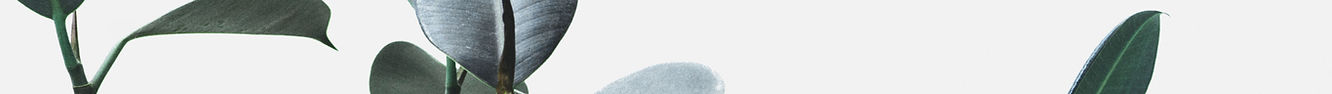 Phytothérapie Agen