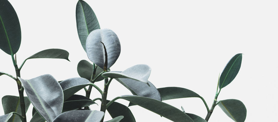 Silent Influence: Creating Lasting Impact Without the Spotlight