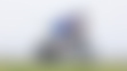 Challenge Almere Amsterdam 2021