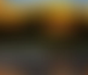 செவ்வாய், செப்டம்பர் 23 || நன்றியுடன் கர்த்தரைத் துதியுங்கள்!