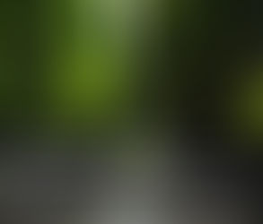 13. ఆగప్పు 2025 బుధవారము || యహాూాఘషఘువ - అనుసరలించుటకు జక మాదిరి