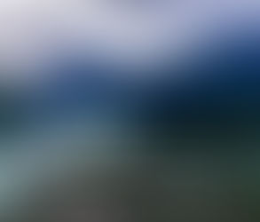 Tuesday, July 08 || HAVE FAITH! DO NOT DOUBT