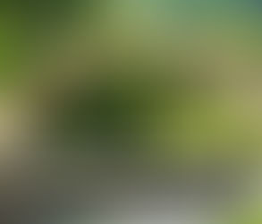 15, ఆగష్పు 2025 శుక్రవారము || దేవా. మాదేశ జనులను రక్షింపుము