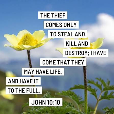 Jesus Came To Give Us Abundant Life