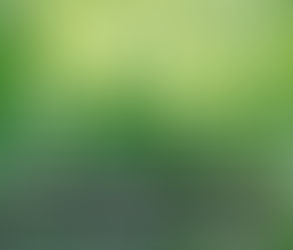 Sunday, June 29 || BEWARE OF PRIDE!