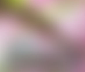 शुक्रवार, जुलाई 04 || क्या हम शांति में परमेश्वर से मिलते हैं?