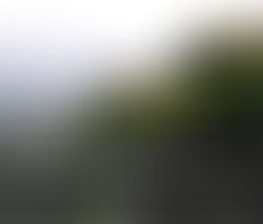 बुधवार, 02 जुलाई || जब अप्रत्याशित मुसीबत आती है तो हम कहां मोड़ते है?