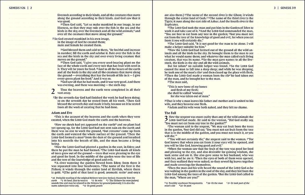 Thumbnail: NIV Artisan Collection Bible For Girls (Journal Bible)