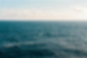 pexels-kellie-churchma222n-371878-1001682.jpg