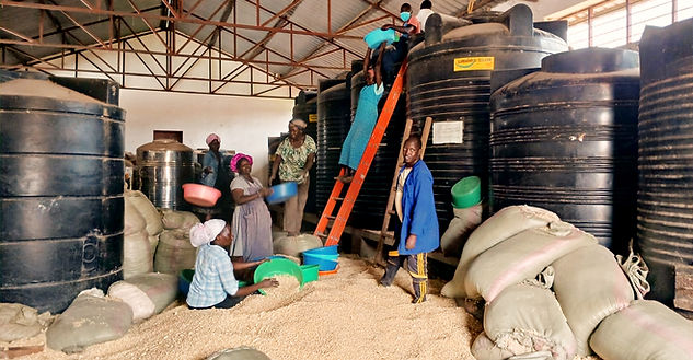 Immagine WhatsApp 2025-02-16 ore 18.30_e