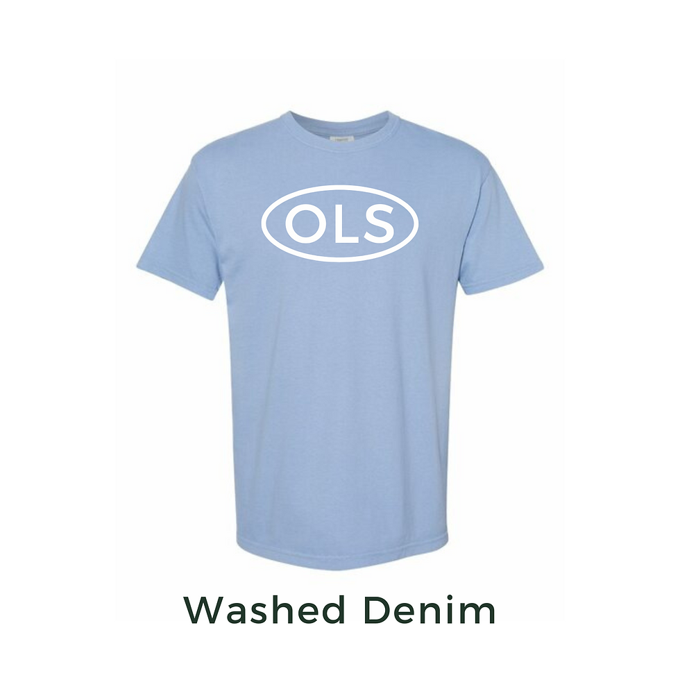 Thumbnail: Comfort Colors tees!