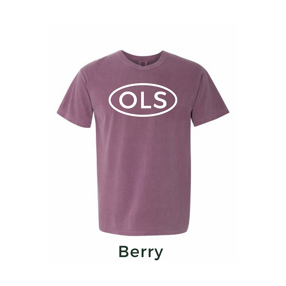 Thumbnail: Comfort Colors tees!