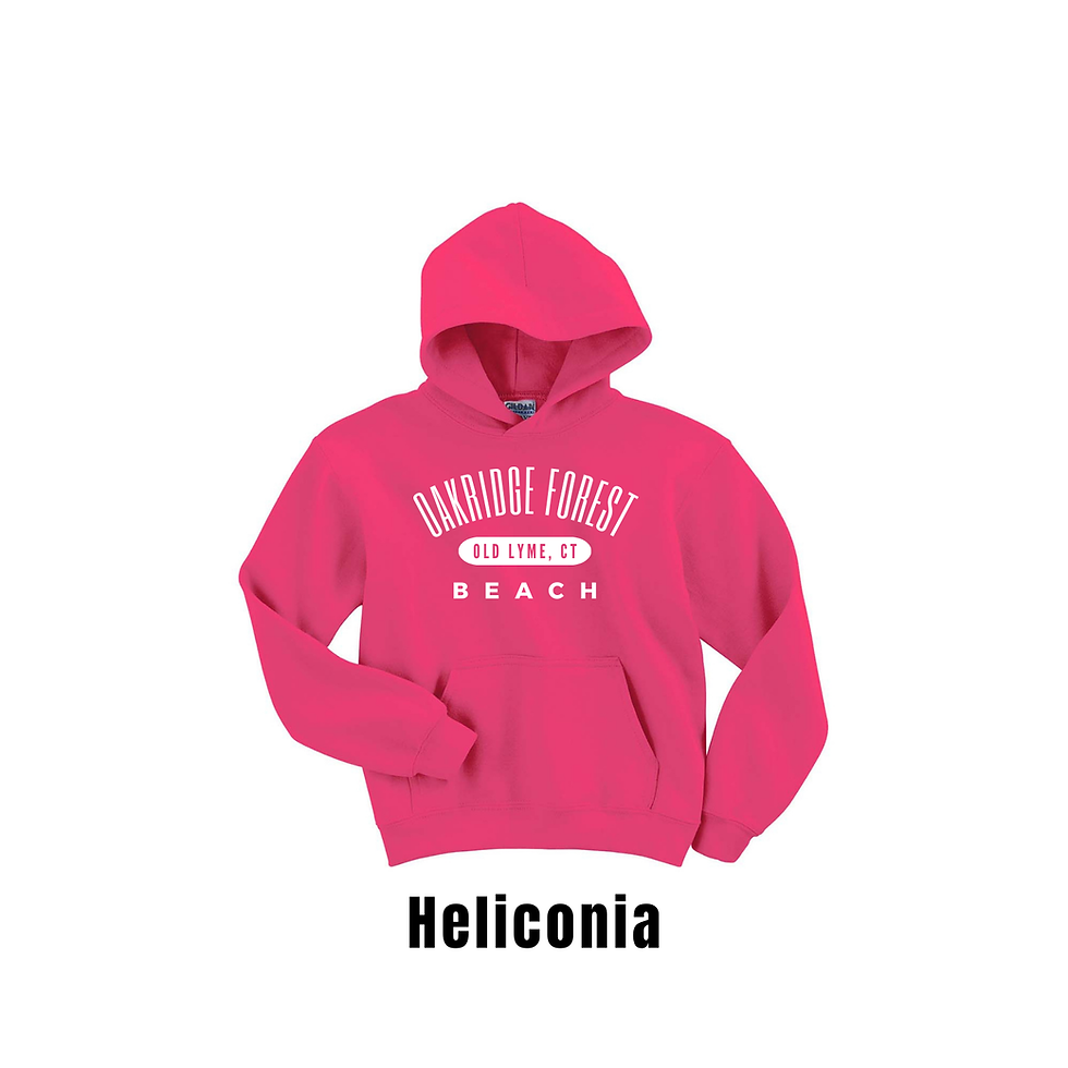 Thumbnail: YOUTH Oakridge Forest Beach hooded sweatshirts!