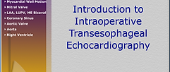 CT_MediaComm-Ani-i.png