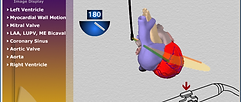 CT_MediaComm-Anig.png