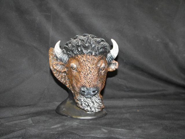 Buffalo bust