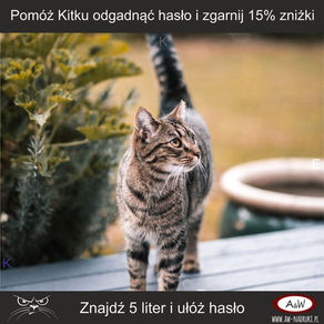 Dzień Kota