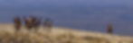 2812-250917-KevinCasey-Edit_edited.jpg