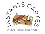 logo-png.png