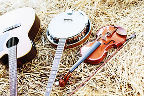 Bluegrass instruments