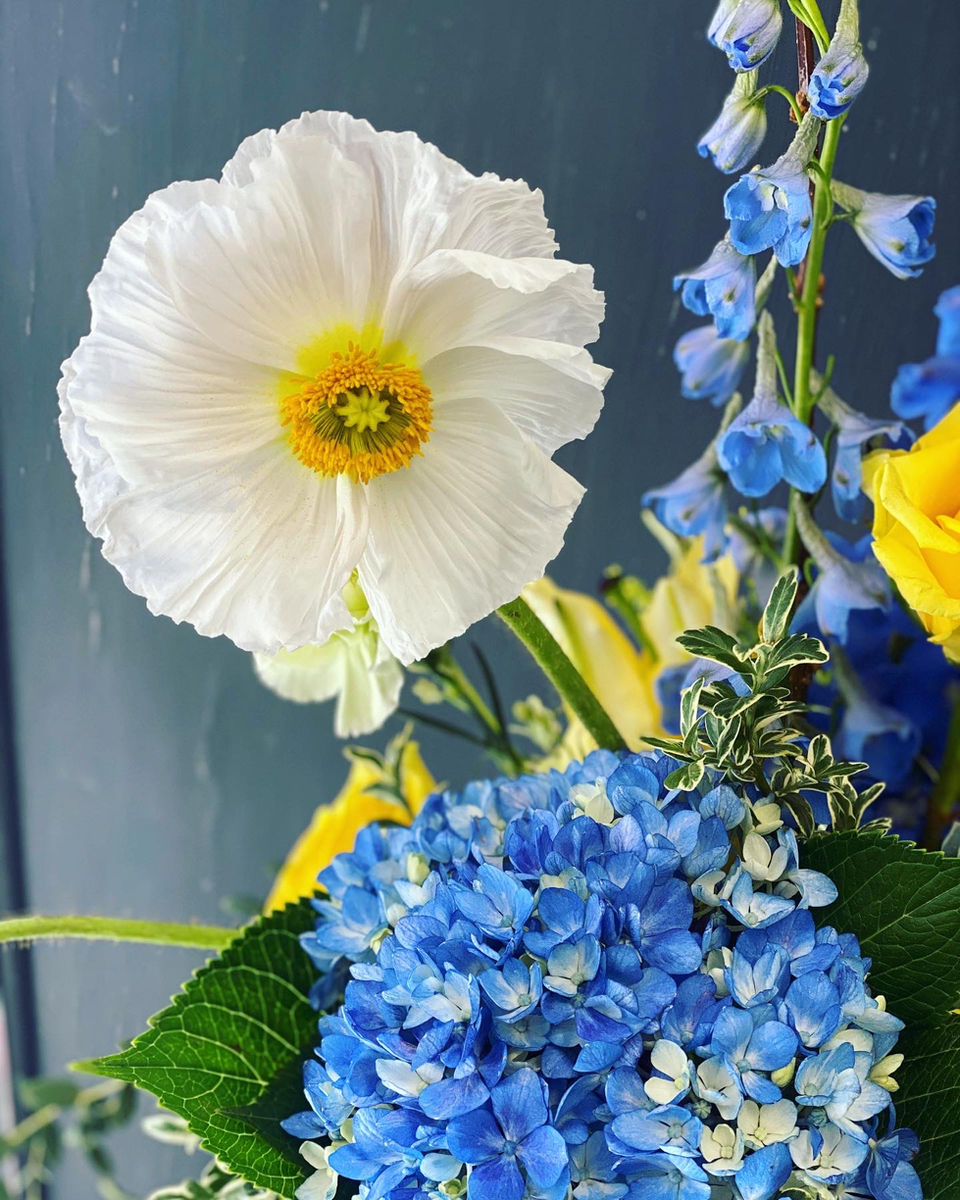 Desert Poppy, LLC