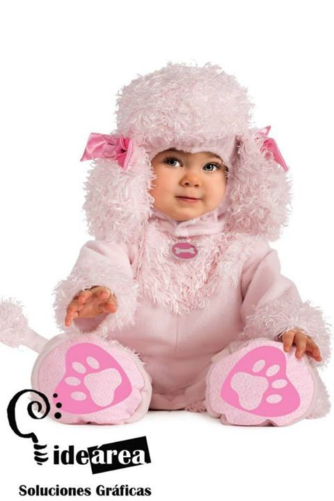 Poodle