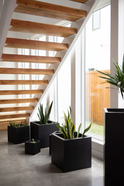 51980525_Dallas_111922-104