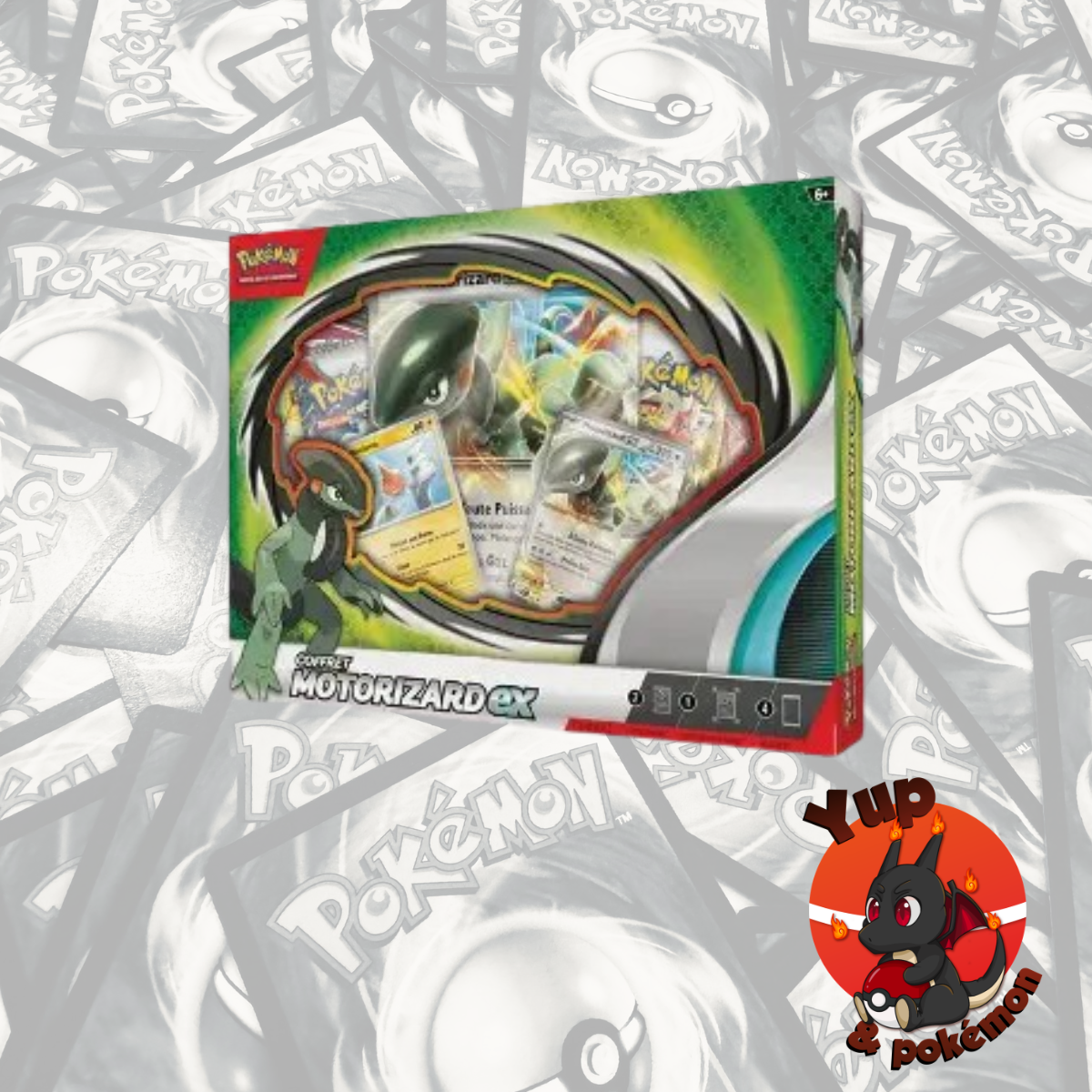 Coffret Motorizard EX