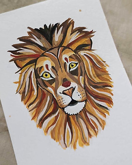 423062795_923357259288944_88541692365899