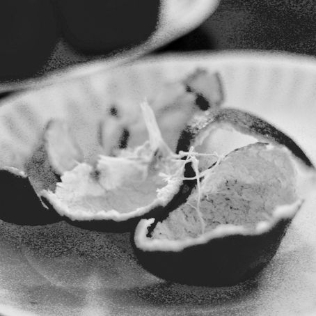 Poetry: Taylor Sumner