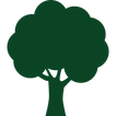 silueta-de-arbol(1).png