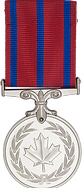 medal-bravery-mb-300-removebg-preview.pn