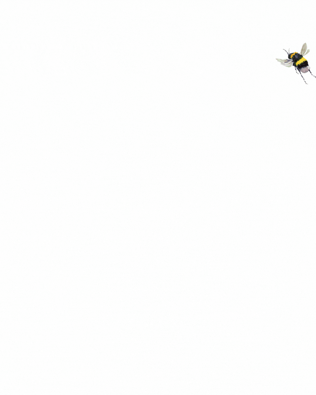 ELCB spring 2025 promo.gif