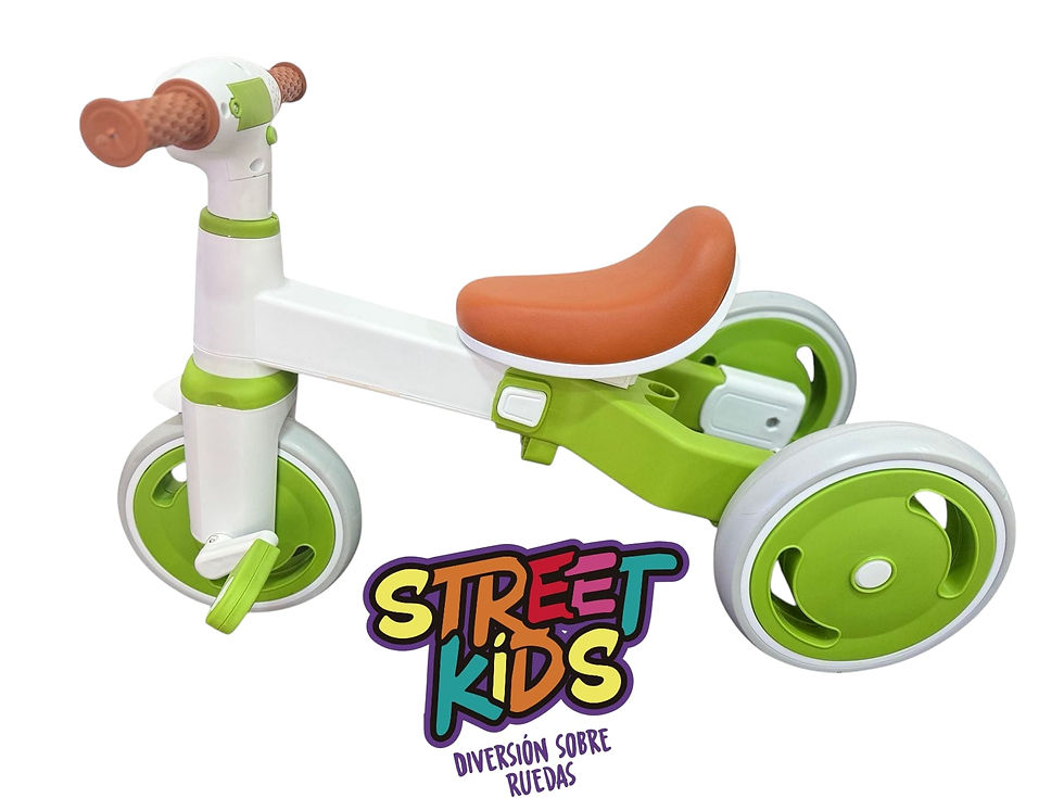 Miniatura: TRICICLO/PATACLETA 