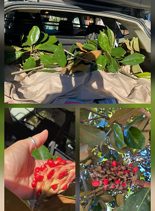 Lashon Sostres Pop up Play Programs Nature Educator