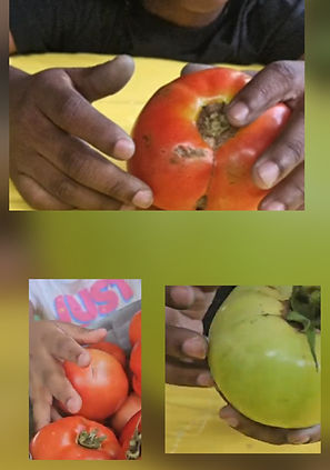 Pop up Play Programs The Blended Garden Kebe Family Daycare