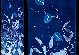 Sample Autumn Work-litha.jpg