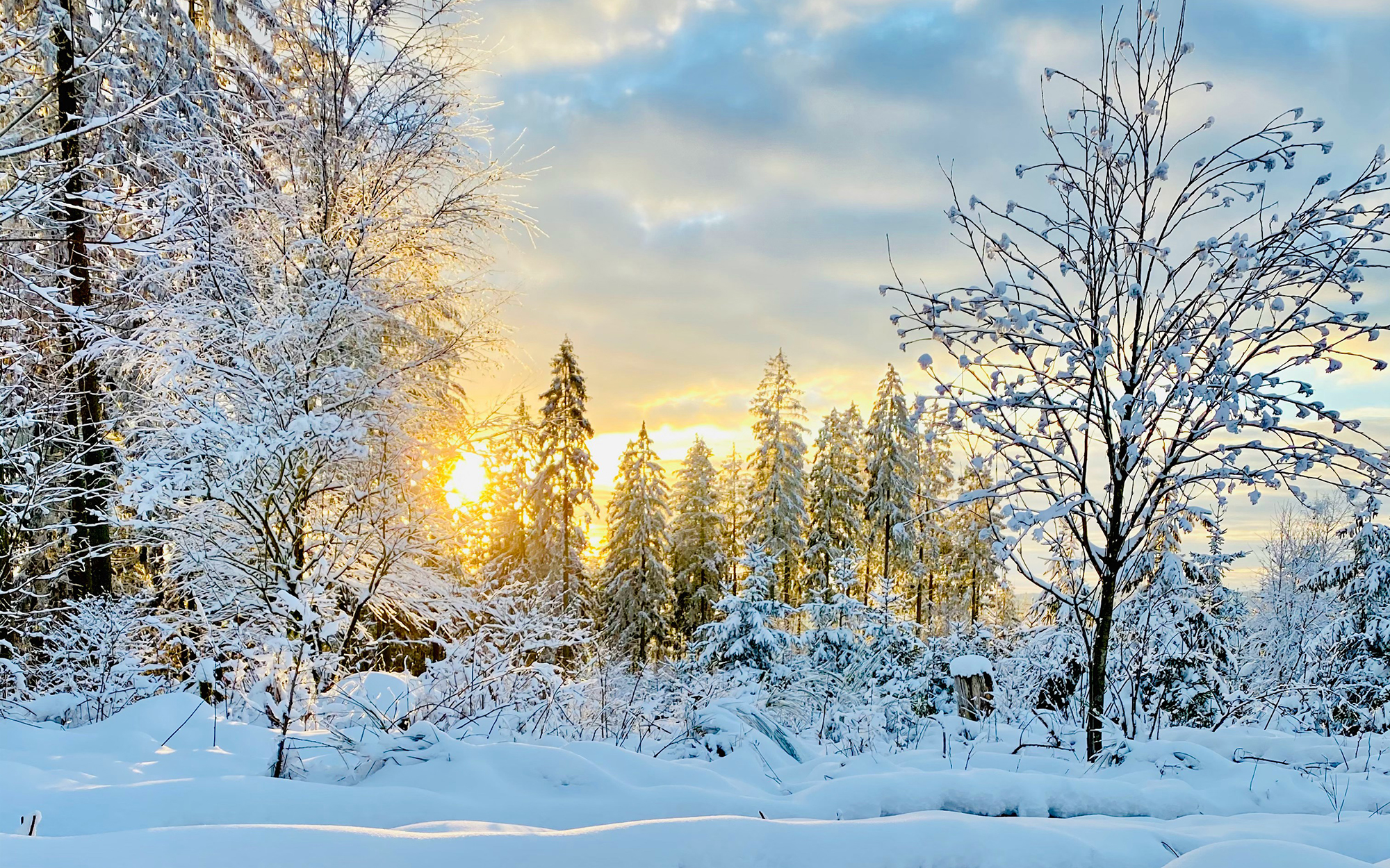 Winter and Seasonal Affective Disorder