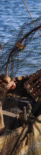 best g loomis rod G.Loomis  The Hook Up Tackle