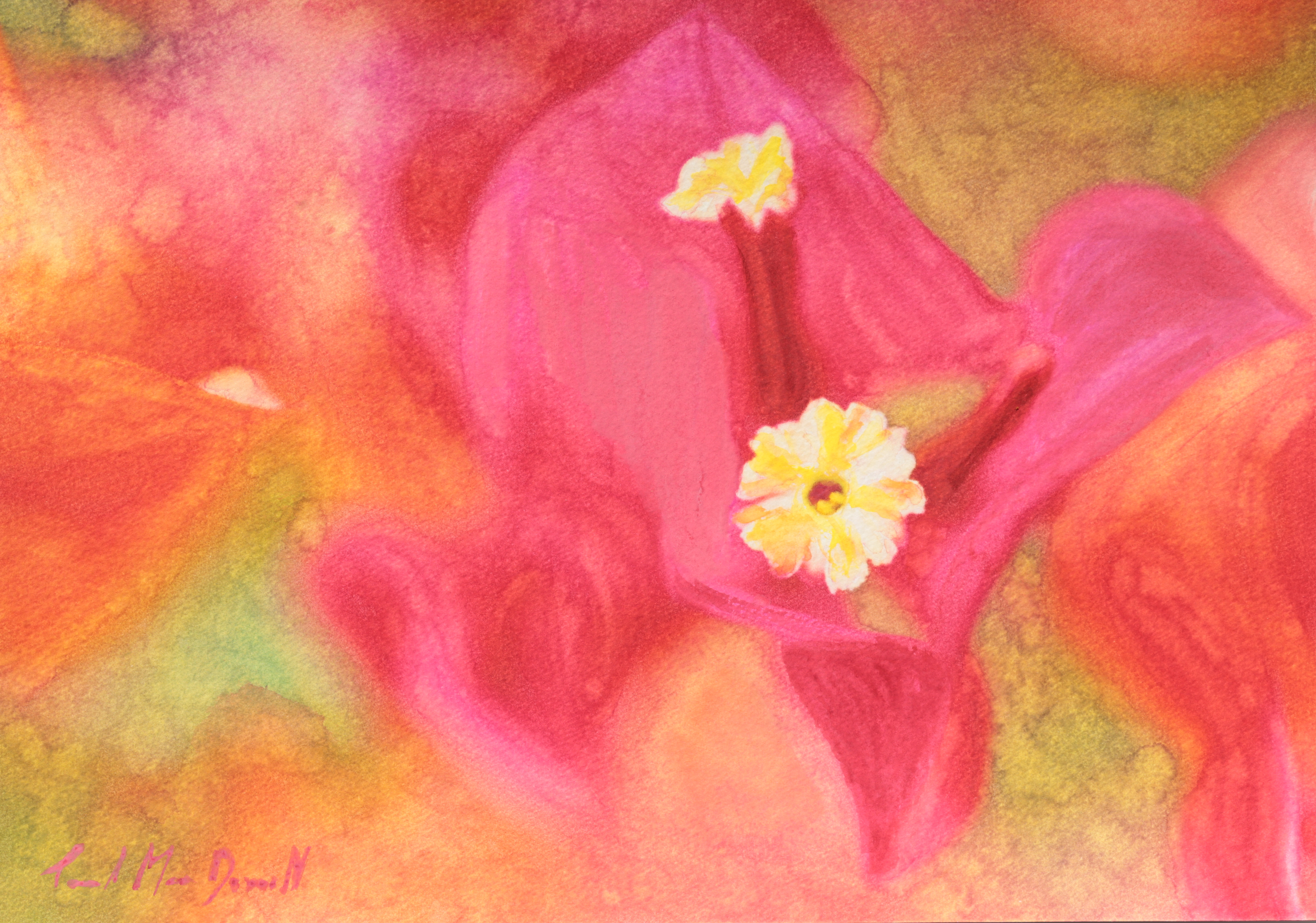 Primavera
